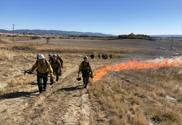 Wildland Firefighter crew walking with fireline flame in the background