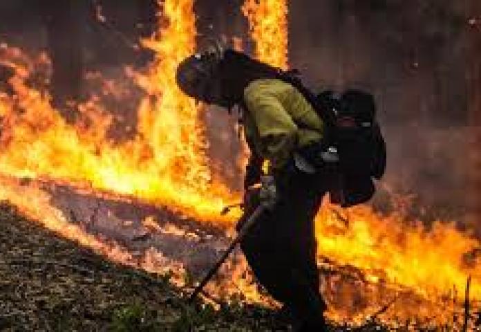 Wildland Firefigher with flames in the background
