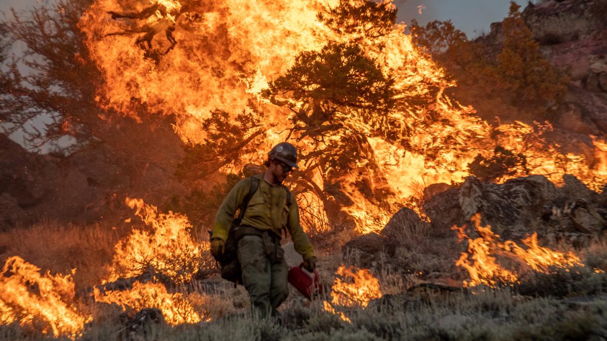 Firefighter in field performing duties