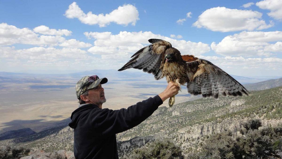 Wildlife Biologist