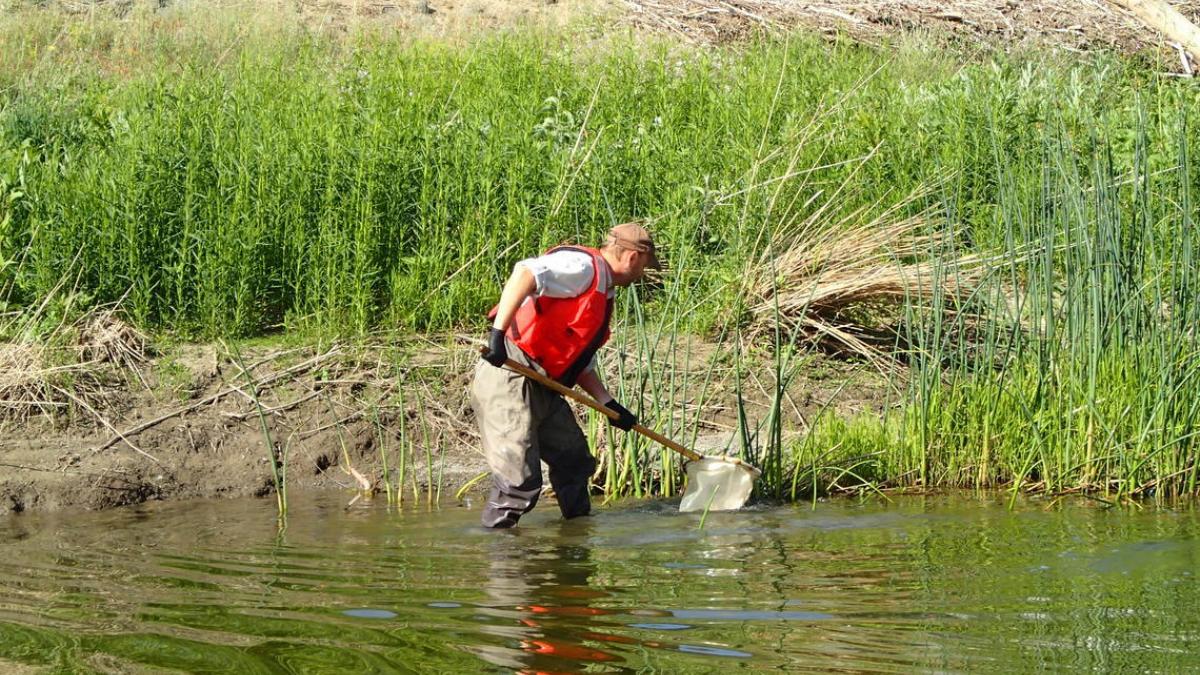 Ecologist