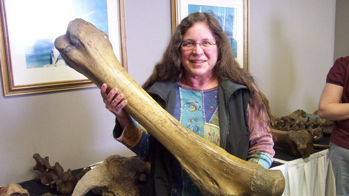 Picture of a Museum Specialist
