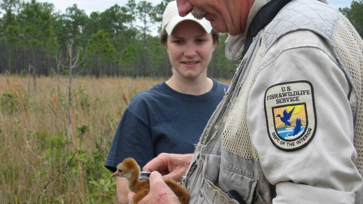 Wildlife Refuge Management Specialist