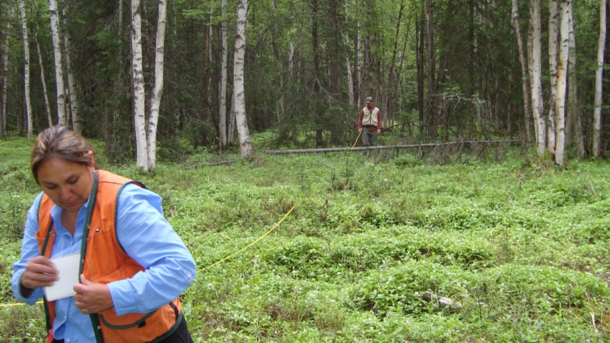Forestry Specialists
