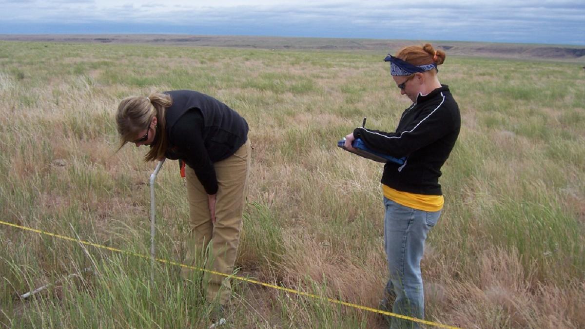 Rangeland Managers