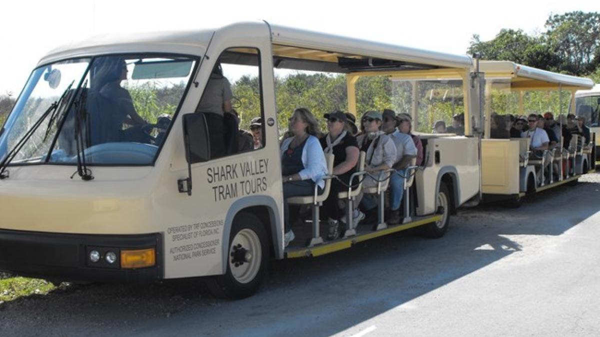 Motor Vehicle Operator