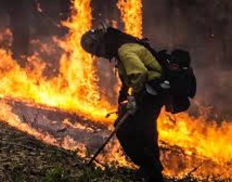 Wildland Firefigher with flames in the background