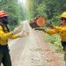 A firefighter tosses a log to another firefighter